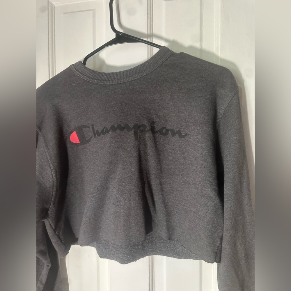 grey cropped champion hoodie